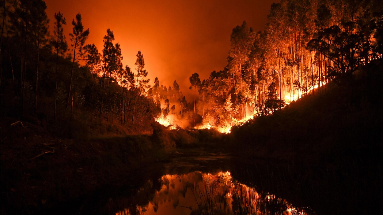 L'image saisissante d'un feu de forêt près de Tojeira, dans le centre du Portugal