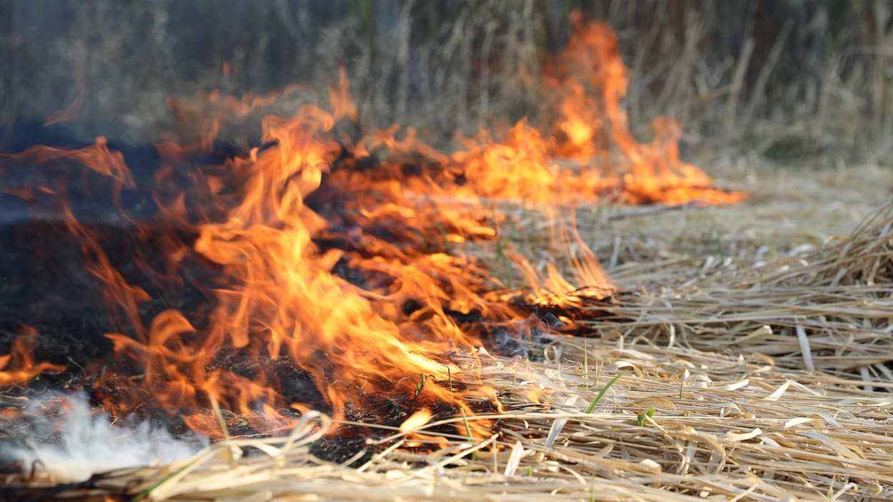 Un été « relativement modéré » avec 358 feux de forêt en Saskatchewan