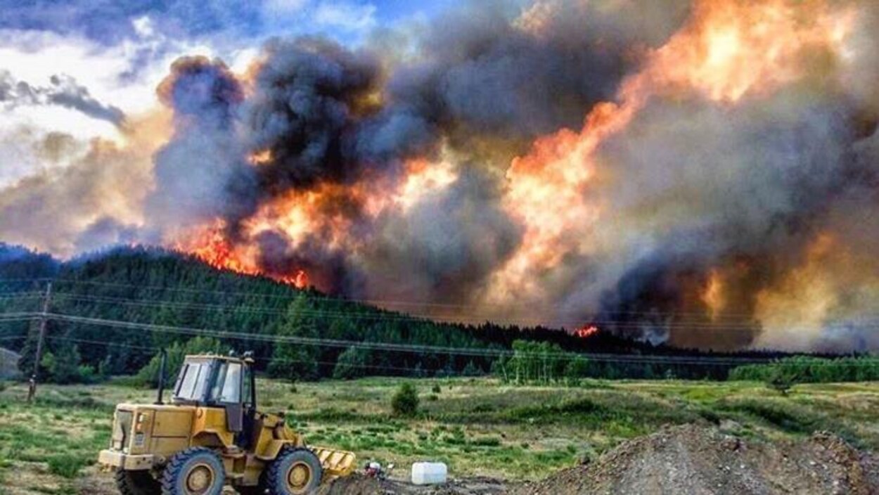Un feu de forêt fait rage près de Williams Lake, en Colombie-Britannique