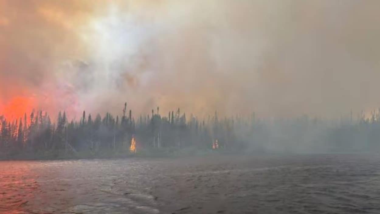 Feux de forêt : les évacués d’une Première Nation posent leurs valises à Toronto