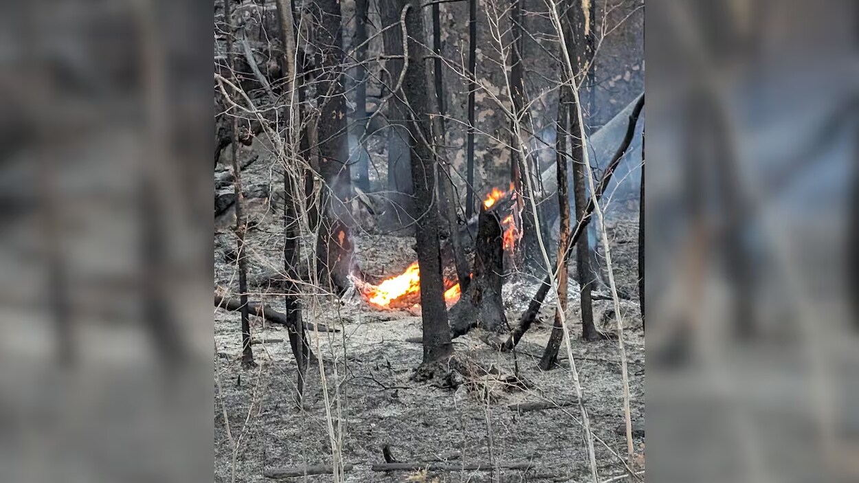 Les feux de forêt emportent de multiples installations au terrain de camping de Black Lake
