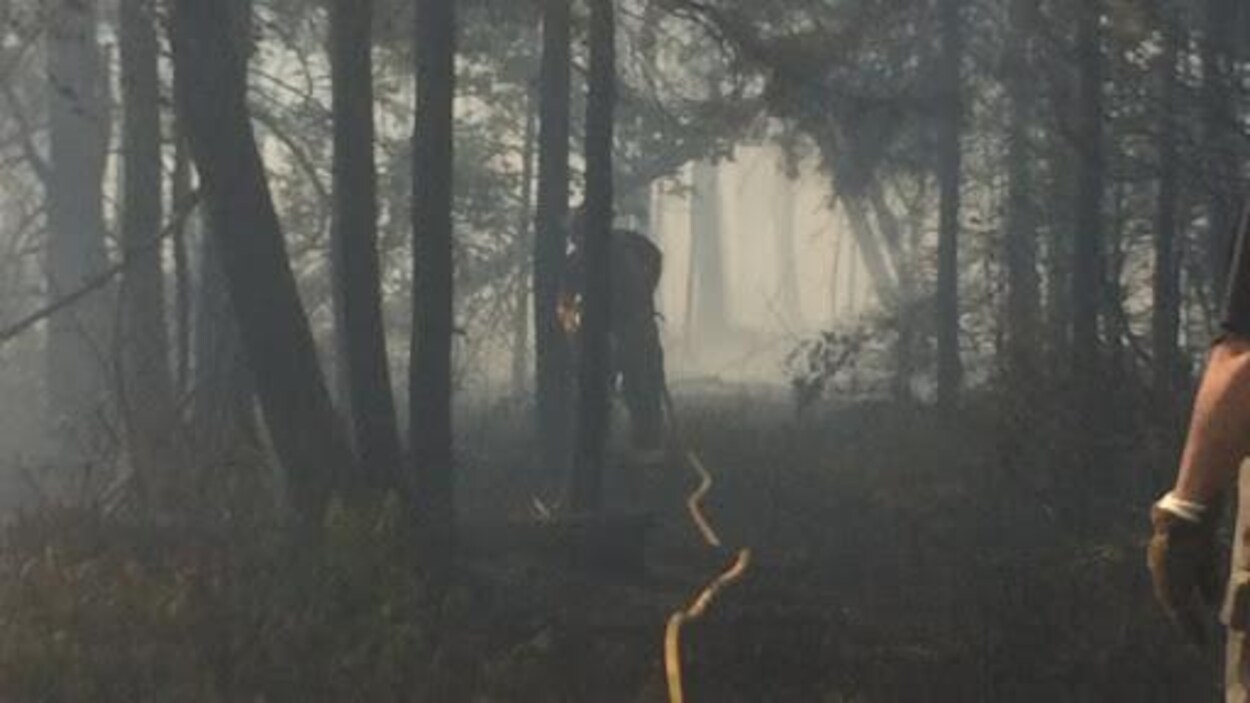 Un feu de forêt et un pompier dans la brume des flammes.