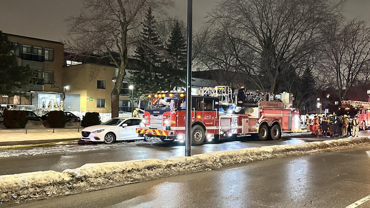 Deux morts et un blessé dans un incendie à Pointe-aux-Trembles |  Radio-Canada