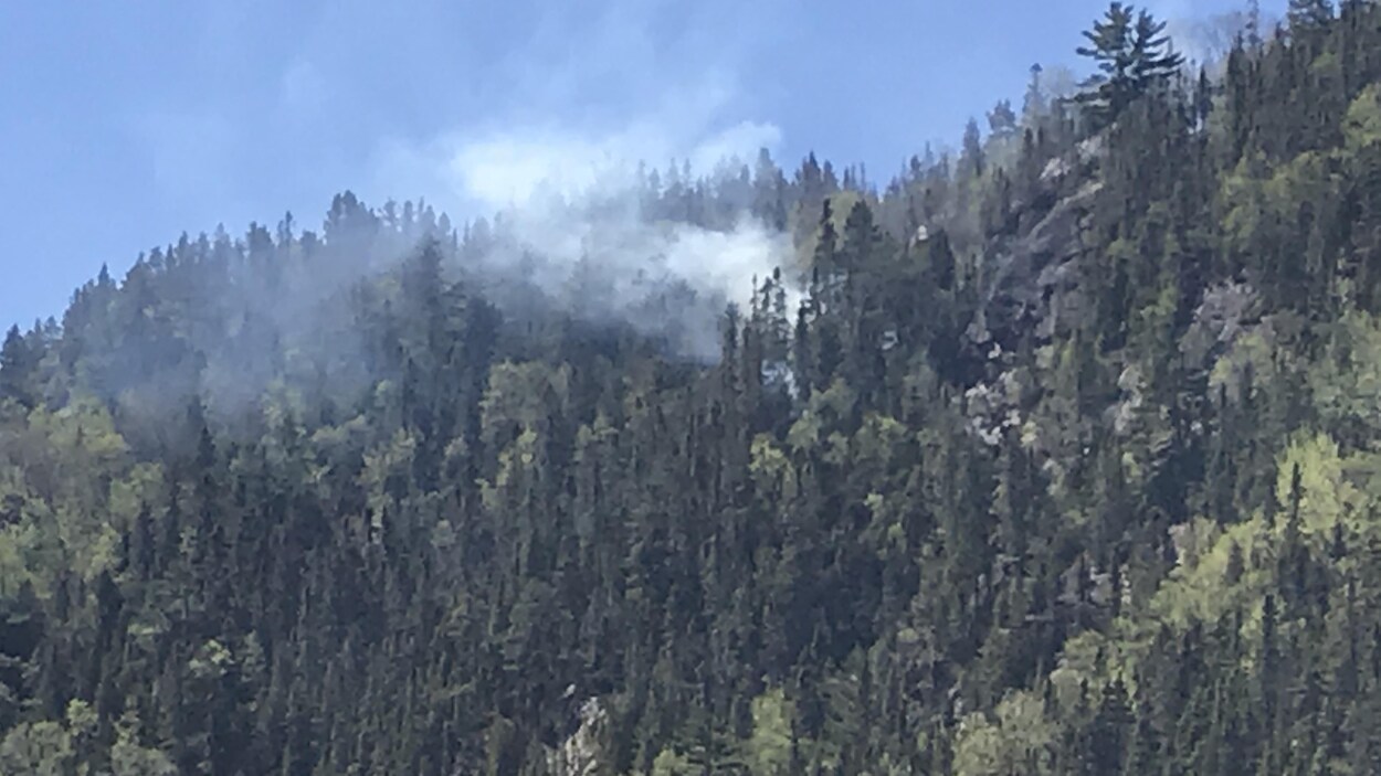 De la fumée en provenance d'un feu de forêt.