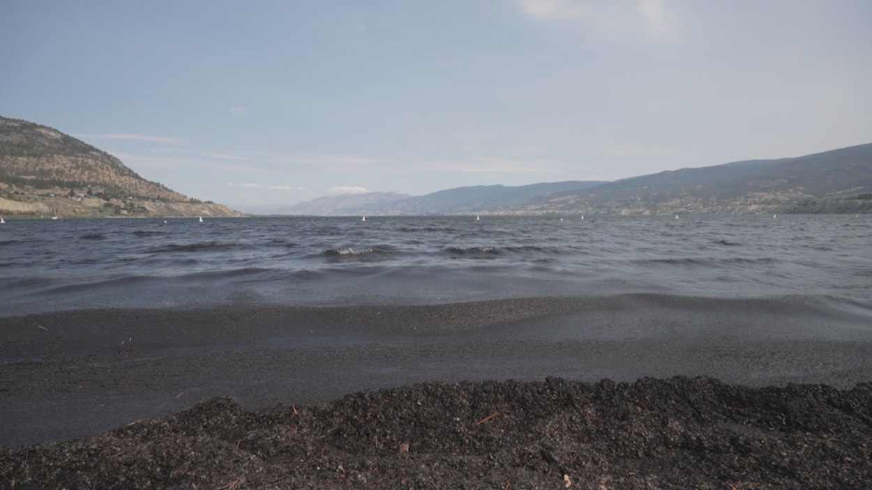 La cendre pollue les eaux dans l'Okanagan