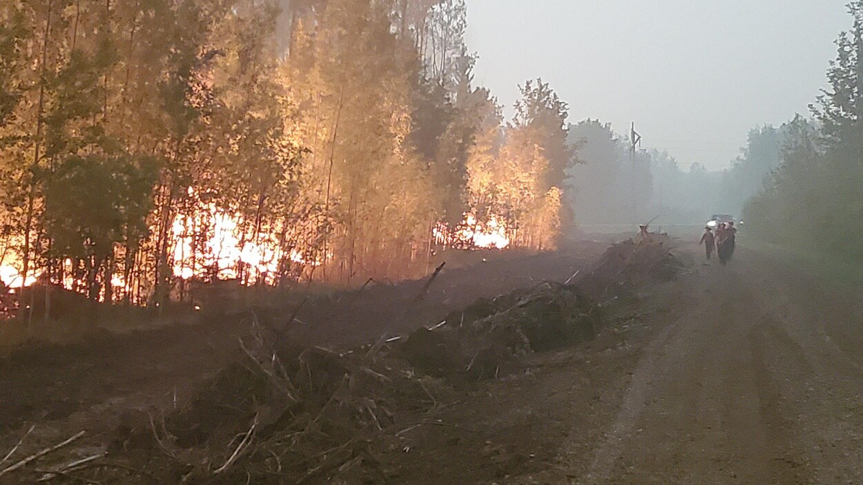 Trois pompiers marchent sur un chemin pendant que des arbres brûlent à leurs côtés dans une forêt albertaine.
