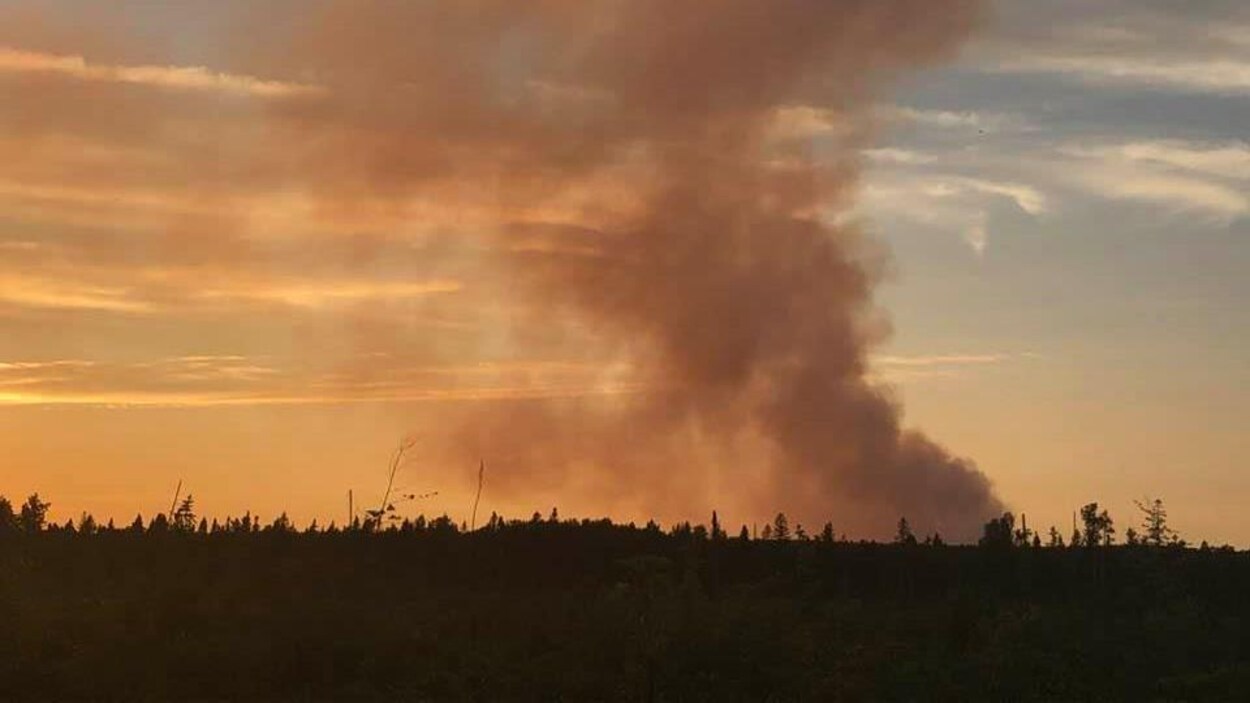 De la fumée qui émane d'une forêt.