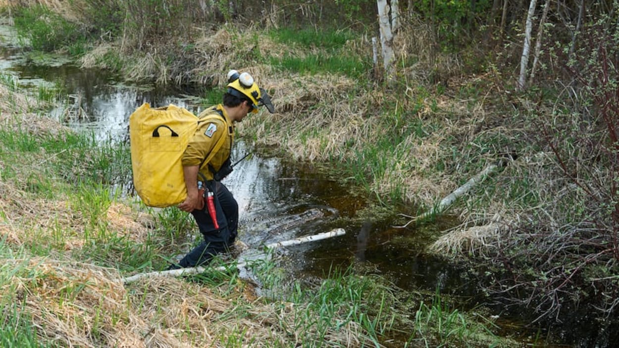 Le Manitoba peine à pourvoir des postes à l’aube de la saison des feux de forêt