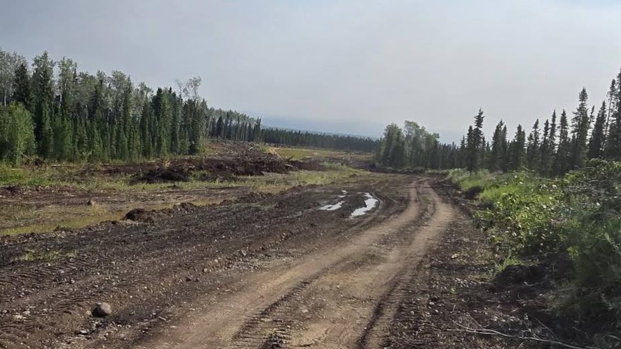 Un feu de forêt n’est plus qu’à 5 km de Wrigley, aux T.N.-O.