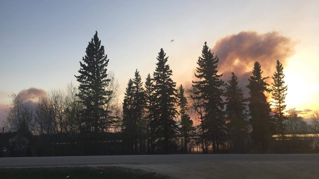 Des nuages de fumée sont dans le ciel au soleil couchant derrière des arbres. Des nuages de fumée sont dans le ciel au soleil couchant derrière des arbres.
