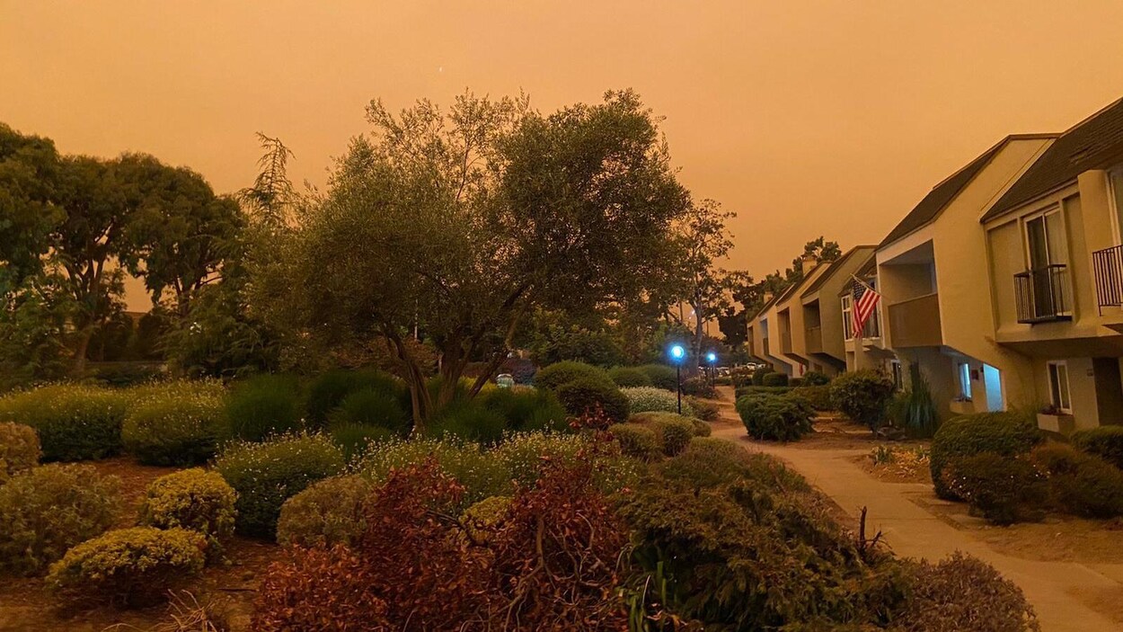 Des maisons et leurs jardins sous un ciel voilé qui donne une couleur orangée à l'air.