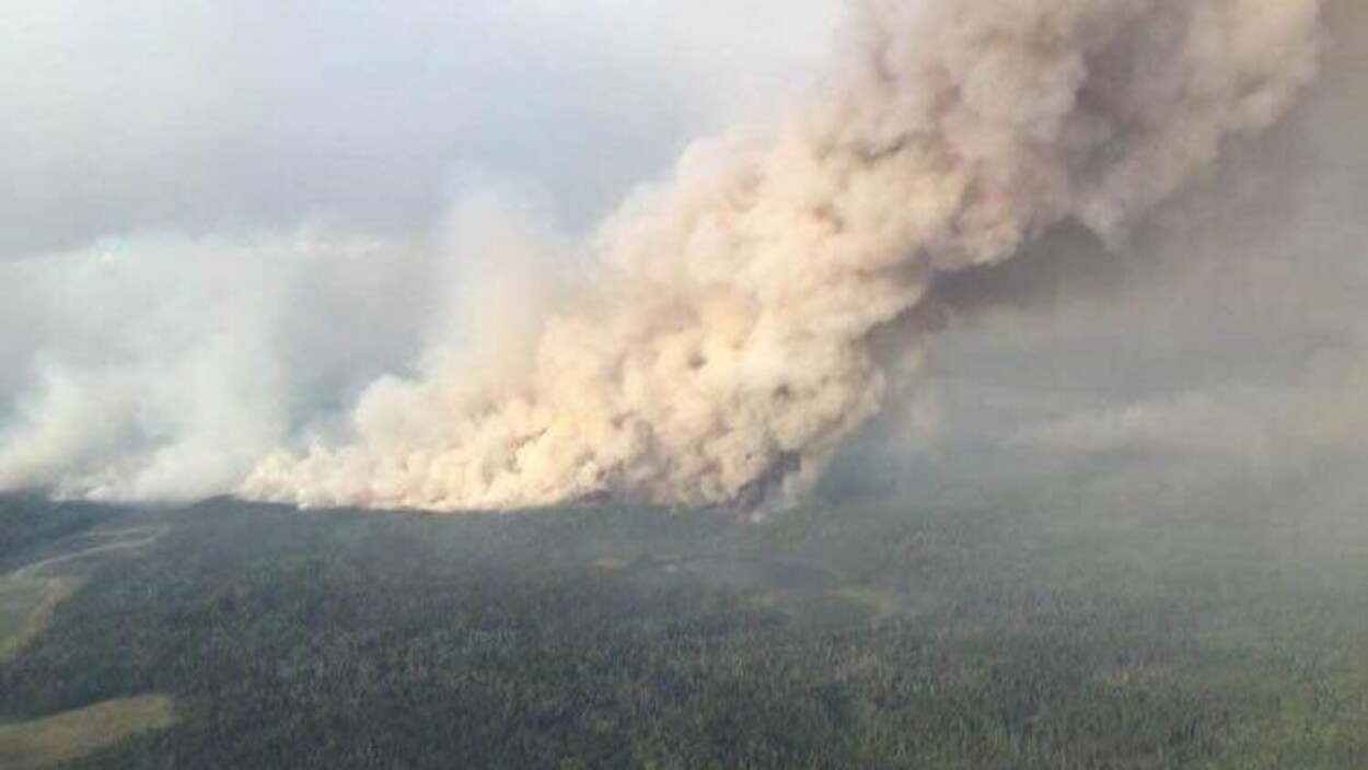 Une épaisse fumée sort de la forêt alors qu'un immense feu la dévore.
