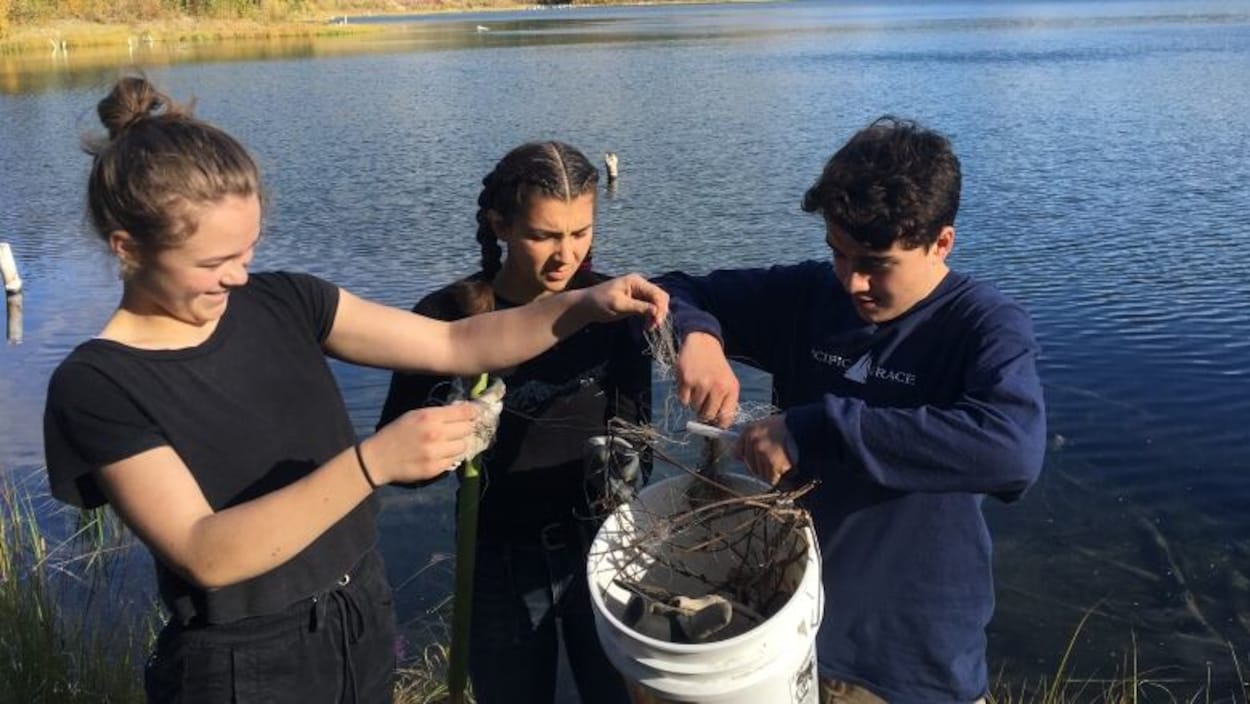 Trois adolescents déposent du fil à pêche dans un seau. Derrière eux, un lac.