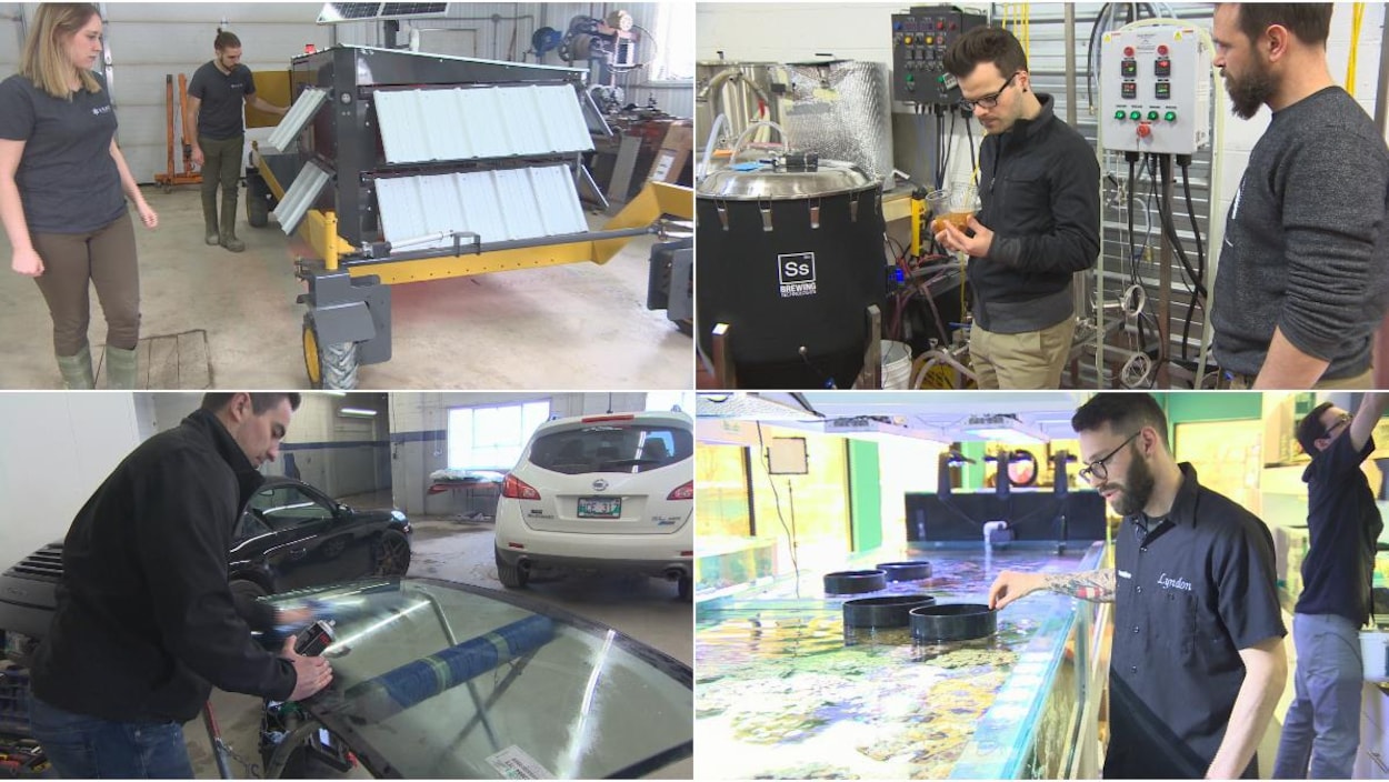 Images des ateliers des quatre entrepreneurs finalistes de la Fosse aux lions 2017 Images des ateliers des quatre entrepreneurs finalistes de la Fosse aux lions 2017