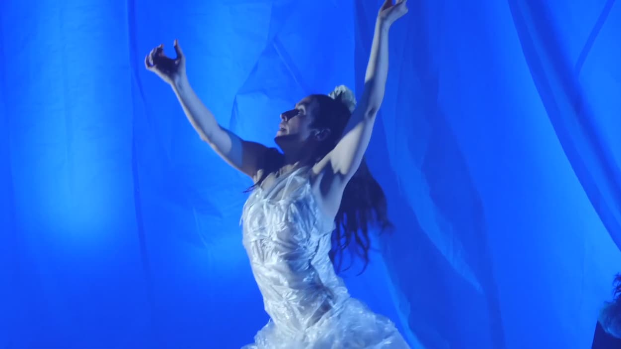 L'art du flamenco par Myriam Allard