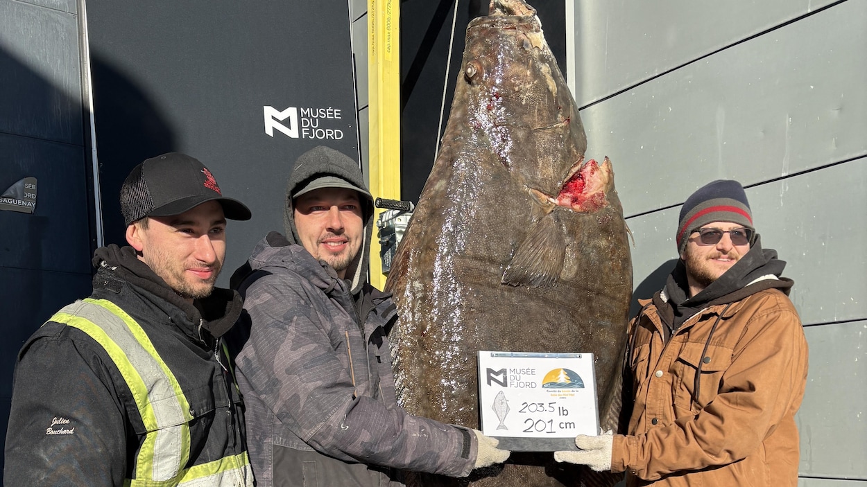 Un flétan atlantique record de 92 kilogrammes pêché dans le Saguenay