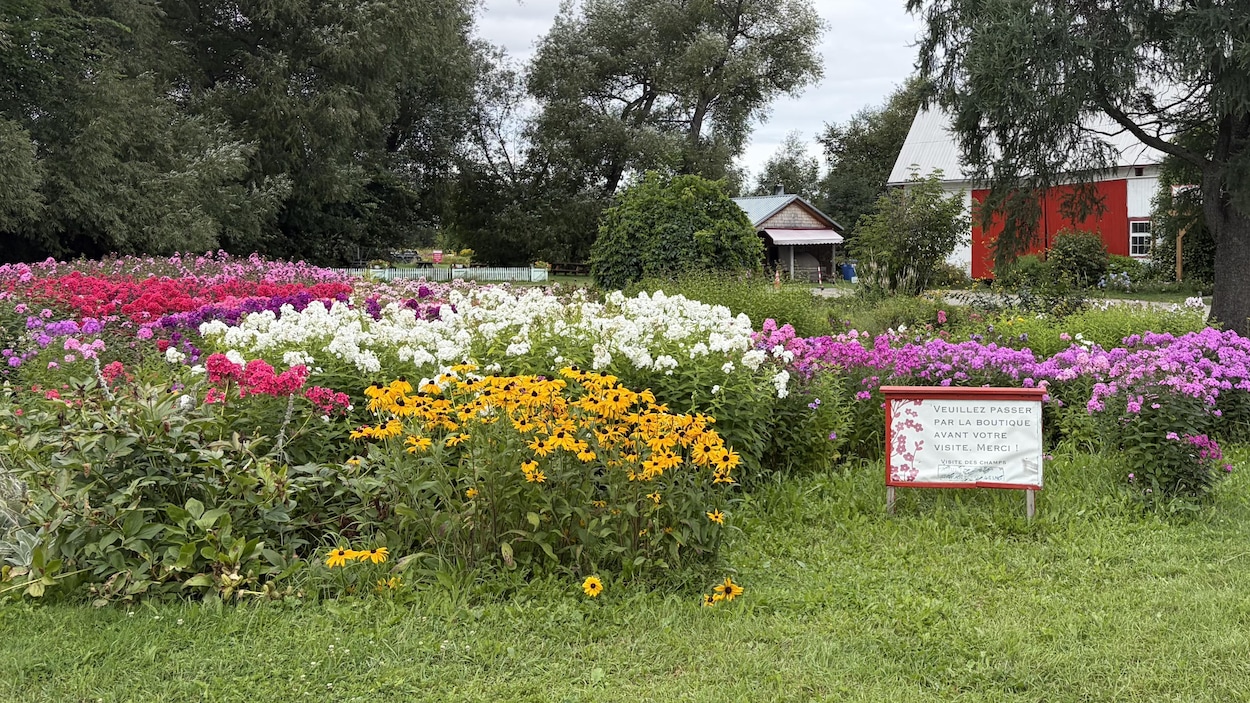 Nouveaux tarifs : des entreprises choisissent la résilience au Saguenay-Lac-Saint-Jean