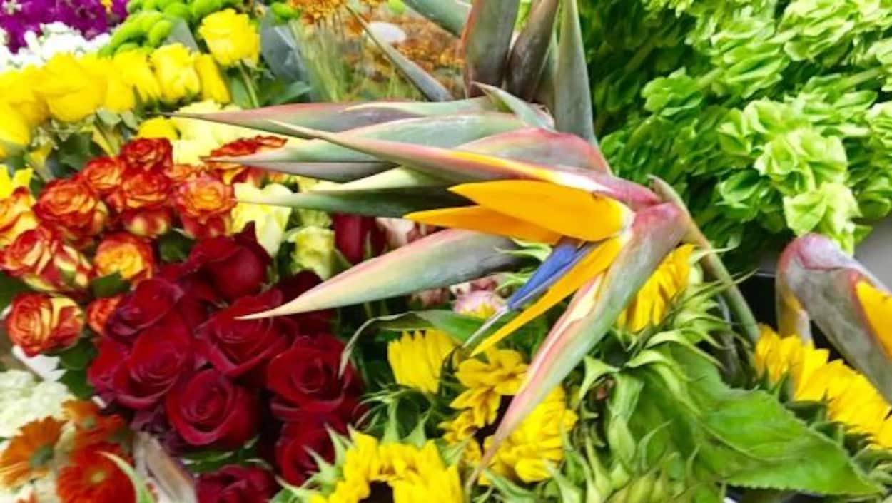 Un bouquet de fleurs contenant des roses et des oiseaux du paradis Un bouquet de fleurs contenant des roses et des oiseaux du paradis
