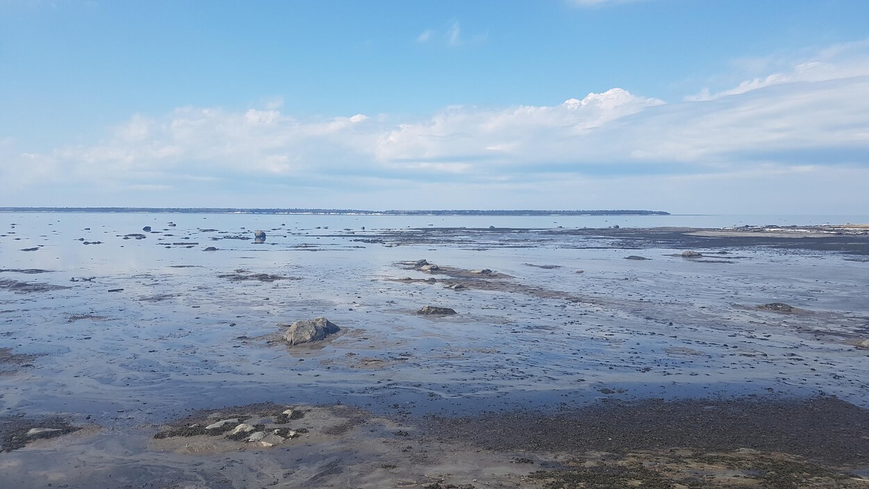 En raison de la marée basse, des roches sont visibles au bord du fleuve. Une île se dessine à l'horizon.