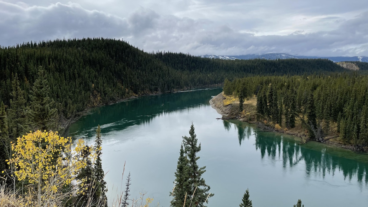 Une veille de crue en vigueur pour le fleuve Yukon dans la région de Carmacks
