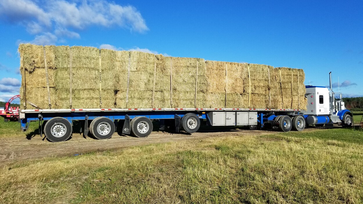 Un camion plein de balles de foin est garé dans un champ.