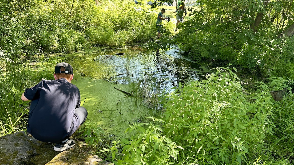Le temps presse pour renflouer le Fonds en fiducie pour l’environnement