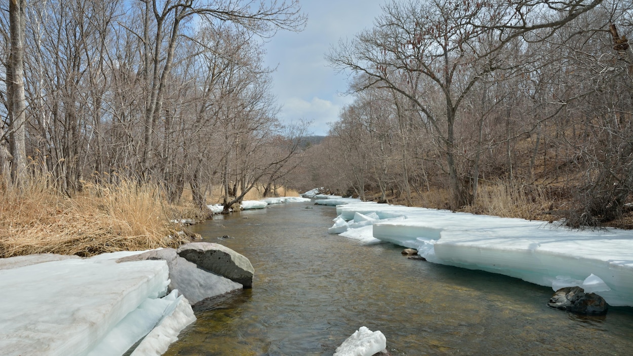 Vue panoramique d'une petite rivière bordée de glace, sous un ciel bleu.