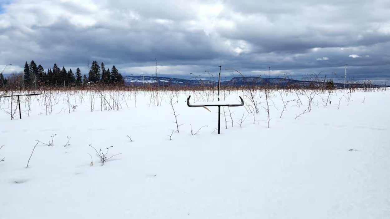 Thunder Bay : l’impact du manteau neigeux sur le printemps agricole