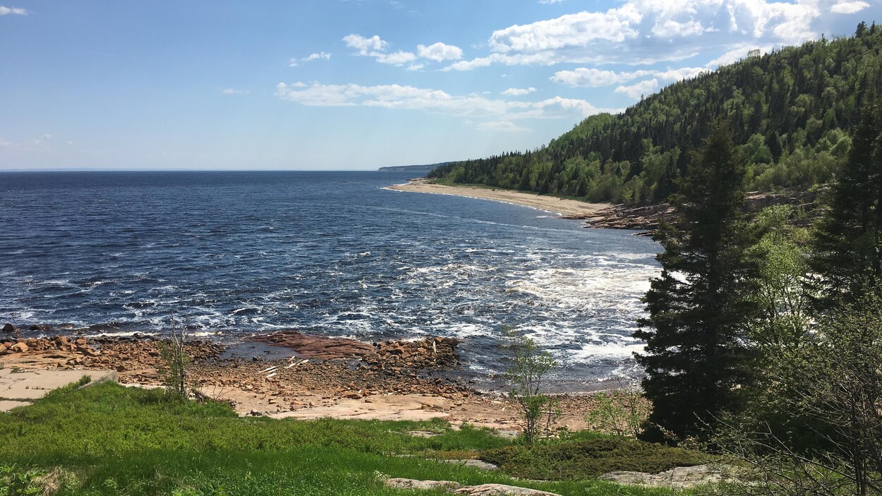 Forestville accueille une production américaine ICI.RadioCanada.ca