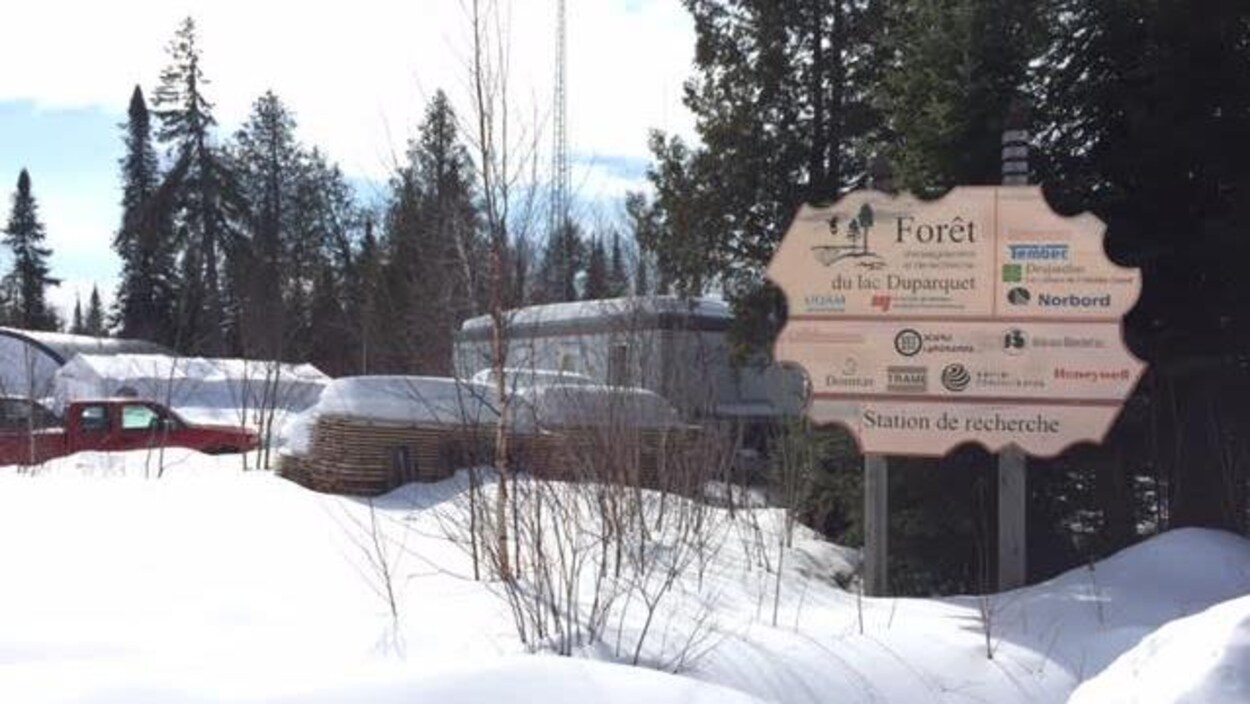 Forêt d'enseignement et de recherche du lac Duparquet