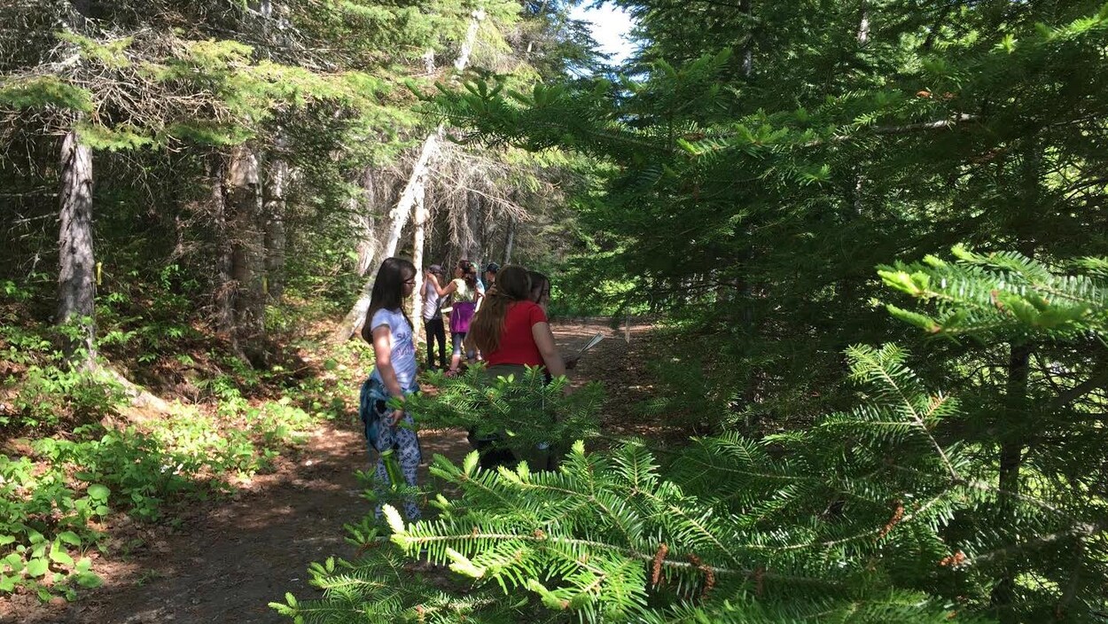 Une journée "forêt" était organisée mercredi pour les élèves de la 5e année du primaire du Témiscamingue.