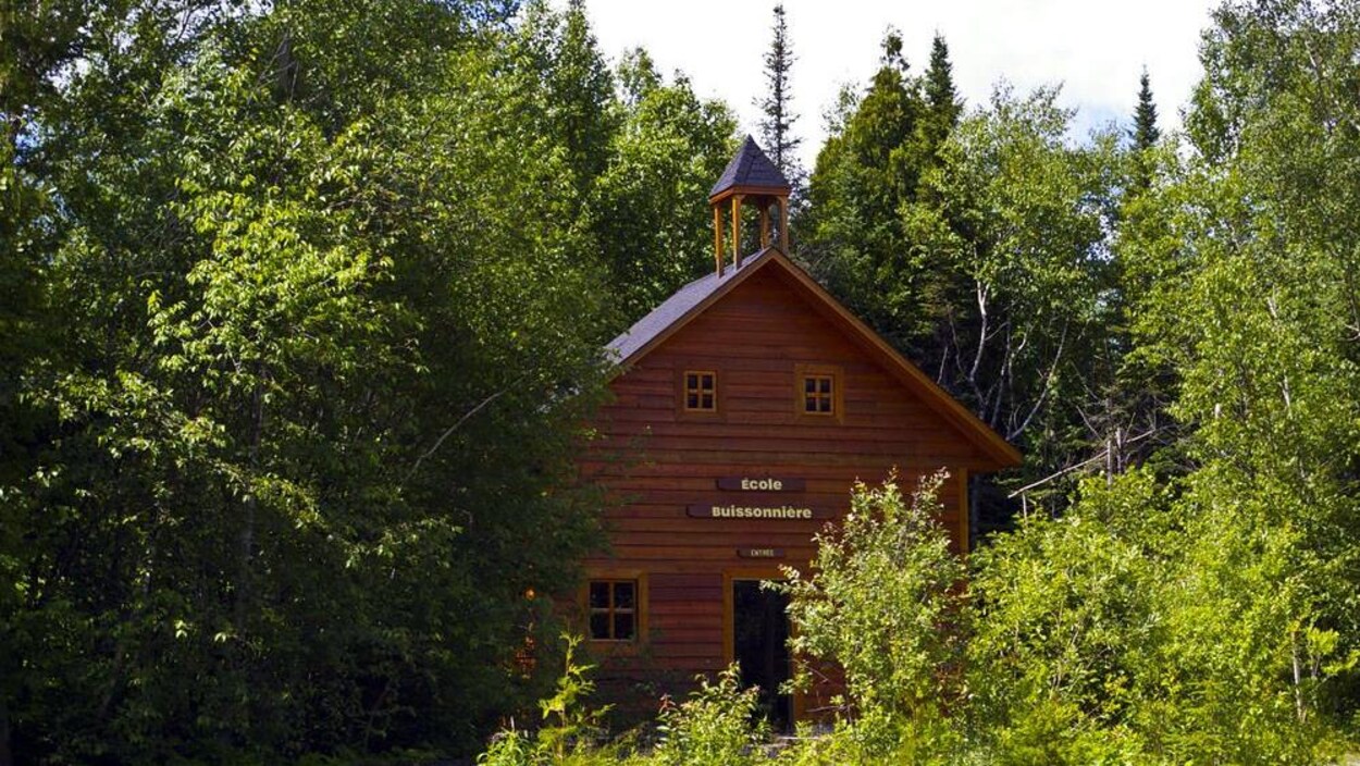 Un bâtiment en bois dans une forêt estivale.