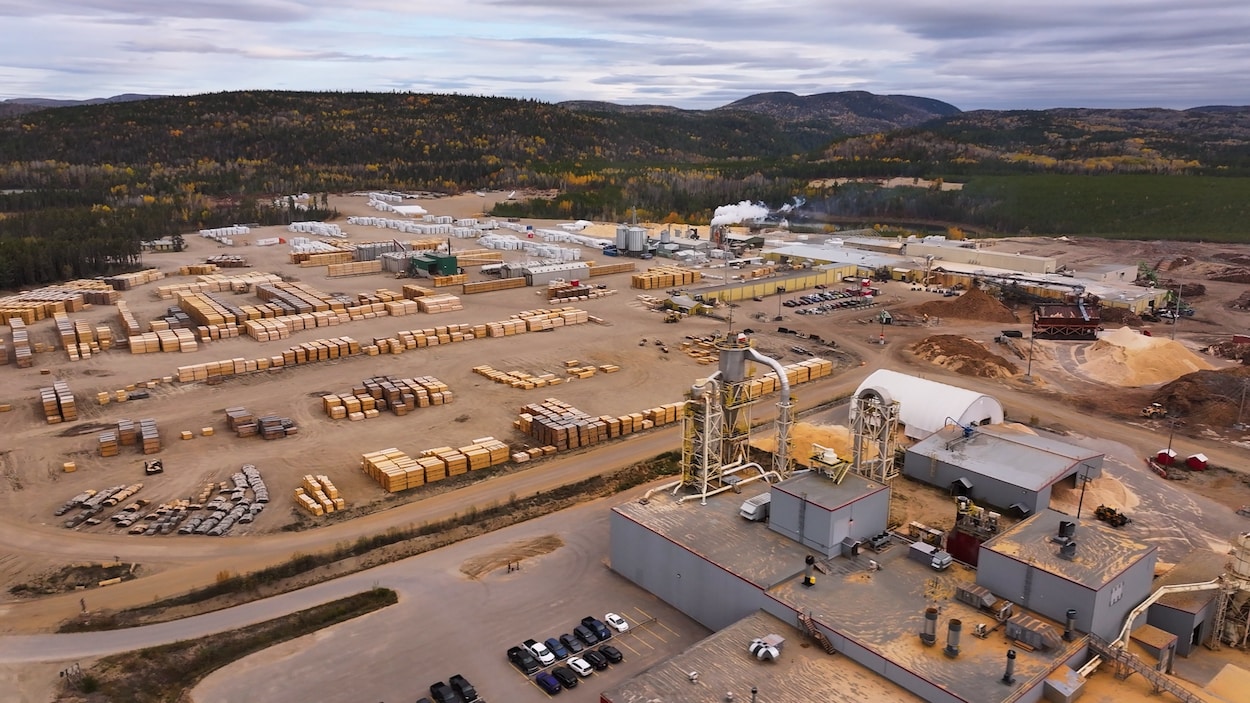 Boisaco, dernier pilier de l’industrie forestière sur la Côte-Nord