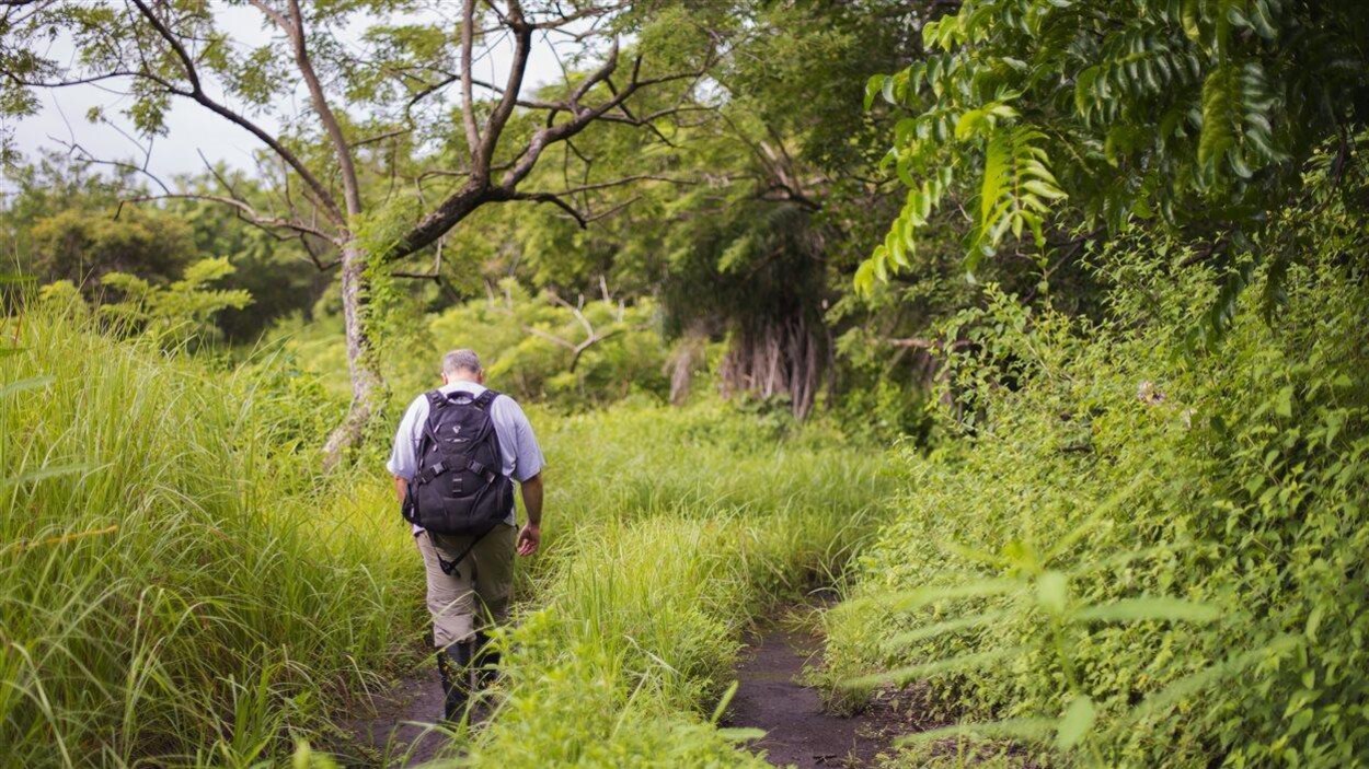 Le scientifique de l'Université de l'Alberta Arturo Sanchez dans le parc national Santa Rosa, au Costa Rica.
