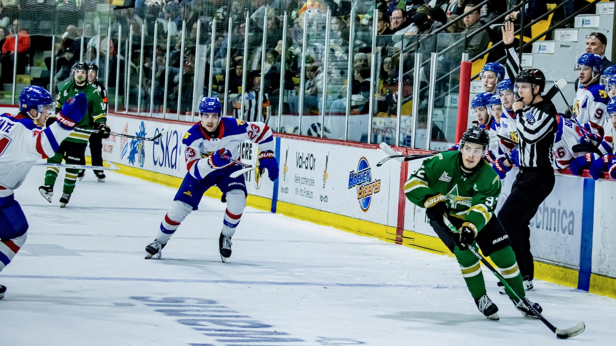 Les Wildcats poussent les Foreurs au bord de l’élimination