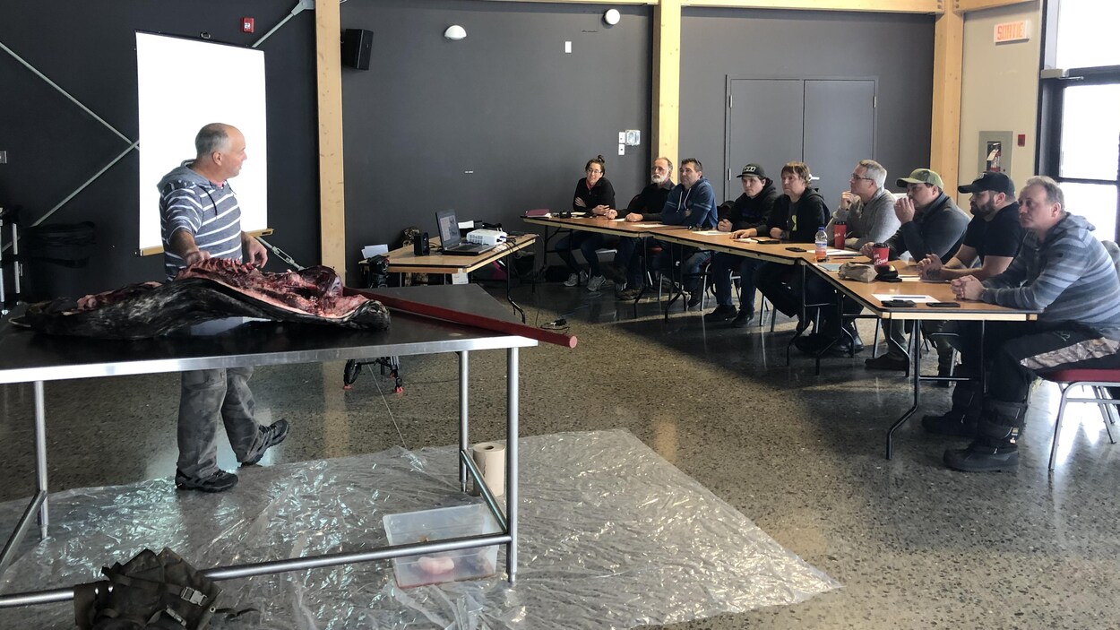 Formation sur la chasse au phoque.