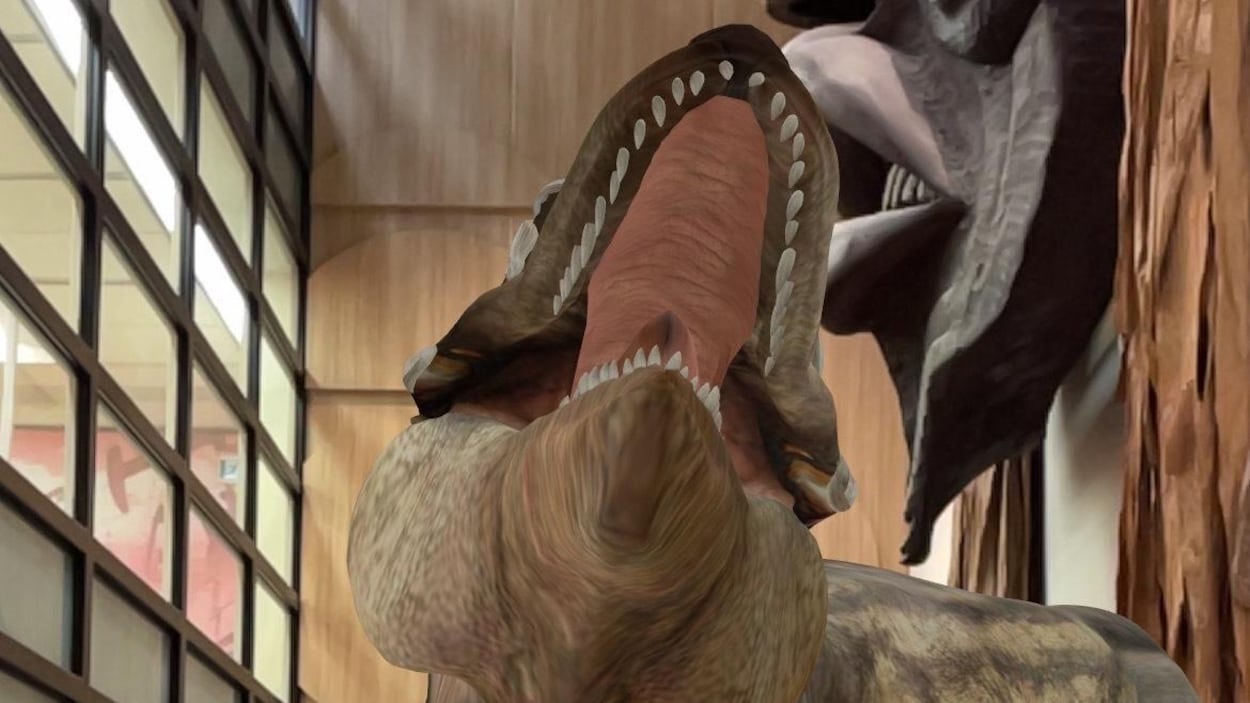 Les restes d'un crâne de dinosaure appartiennent au vieil oncle du T. rex