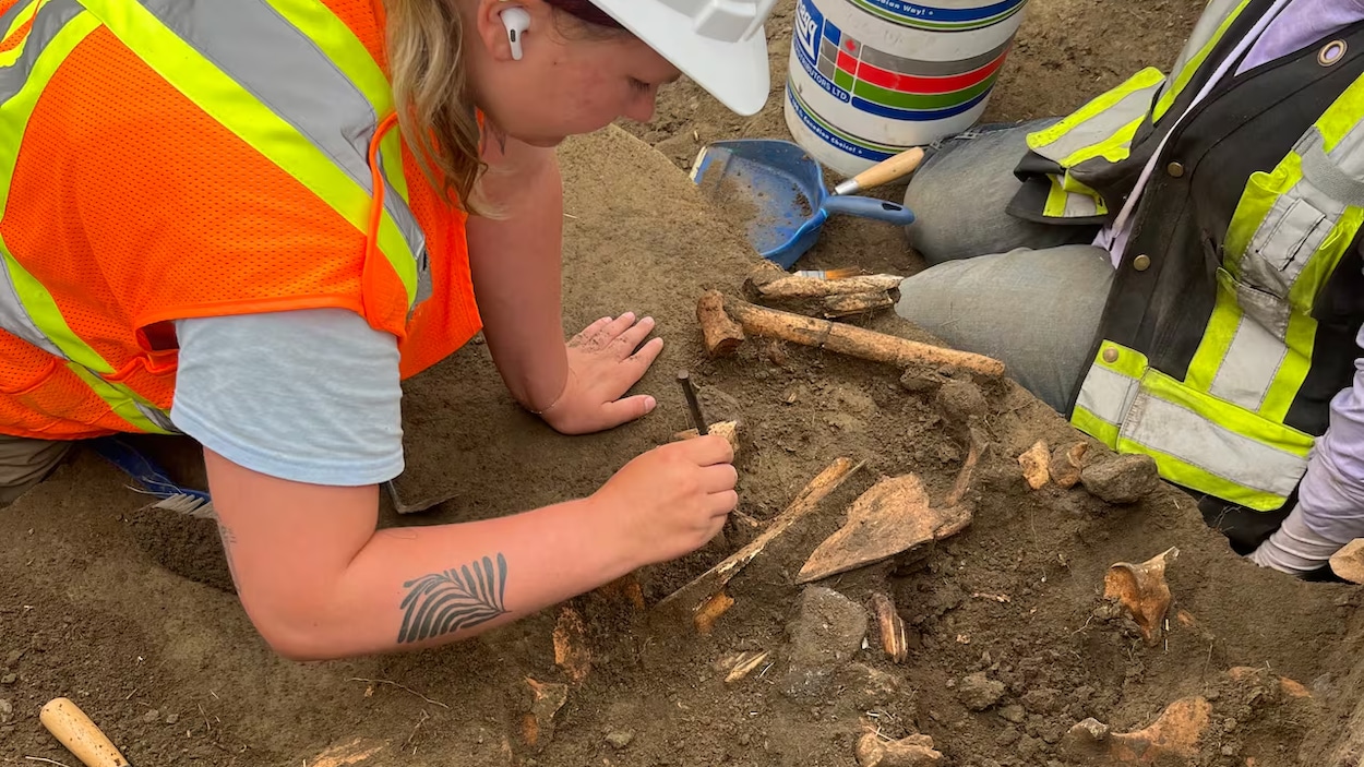 240 000 artéfacts retrouvés dans un site archéologique à Moose Jaw