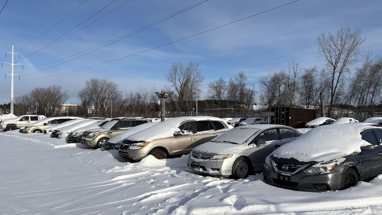 La fourrière municipale de Trois-Rivières déborde