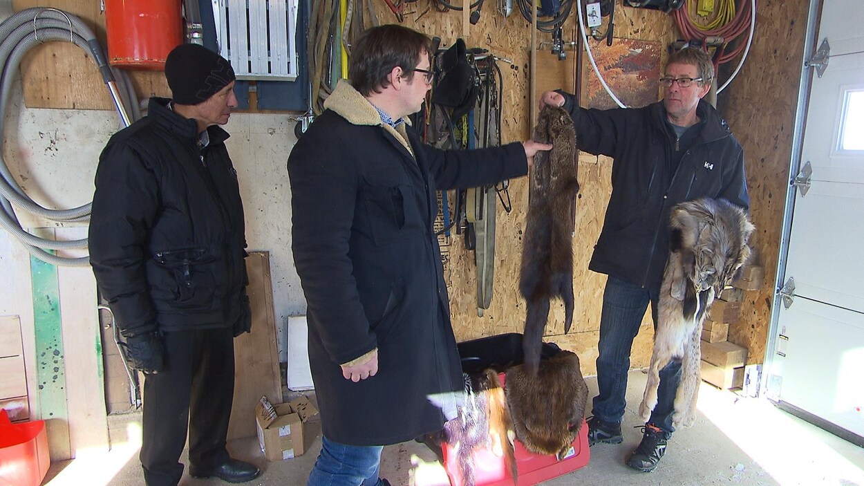 Luc Deschenes (à gauche) et Marc Joubert (à droite) montrent des fourrures au journaliste Jean-Louis Bordeleau (au centre) Luc Deschenes (à gauche) et Marc Joubert (à droite) montrent des fourrures au journaliste Jean-Louis Bordeleau (au centre)