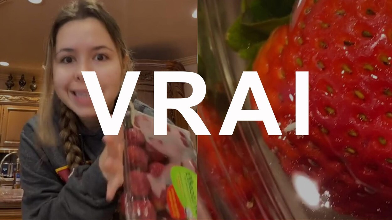 Une femme tient un contenant de fraises. À côté d'elle, une photo d'une fraise vue de près. Le mot VRAI est superposé sur la photo.