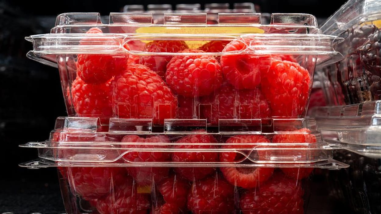 Des framboises vendues au Canada auraient dépassé les limites légales de pesticides