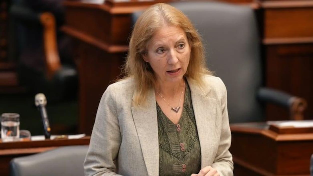 Crise en Ontario : France Gélinas relance l'urgence de ratios infirmières-patients pour protéger les soignants