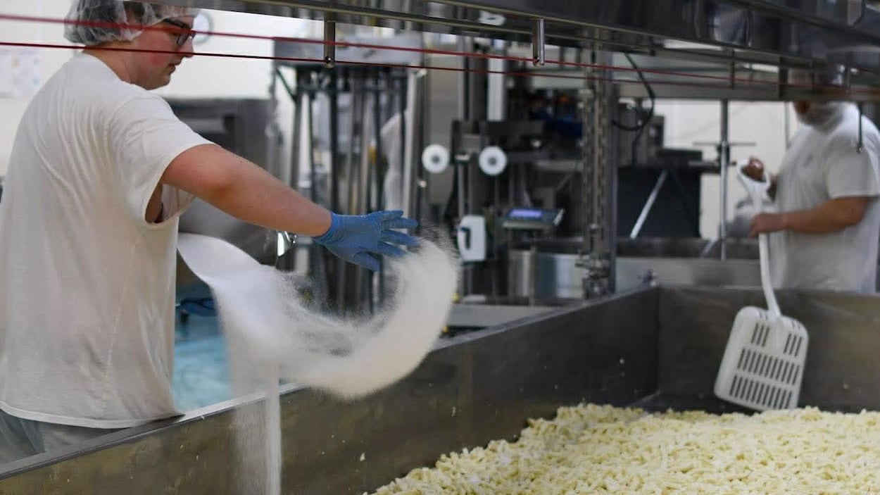 Les producteurs d’ici en faveur d’un fromage à poutine du Québec certifié