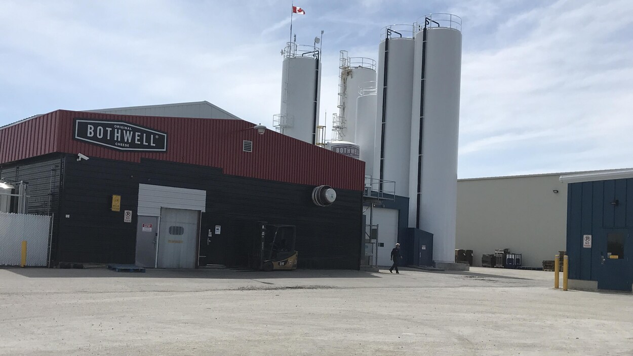 Vue extérieure des installations de la fromagerie Bothwell Cheese, un bâtiment et quatre silos.