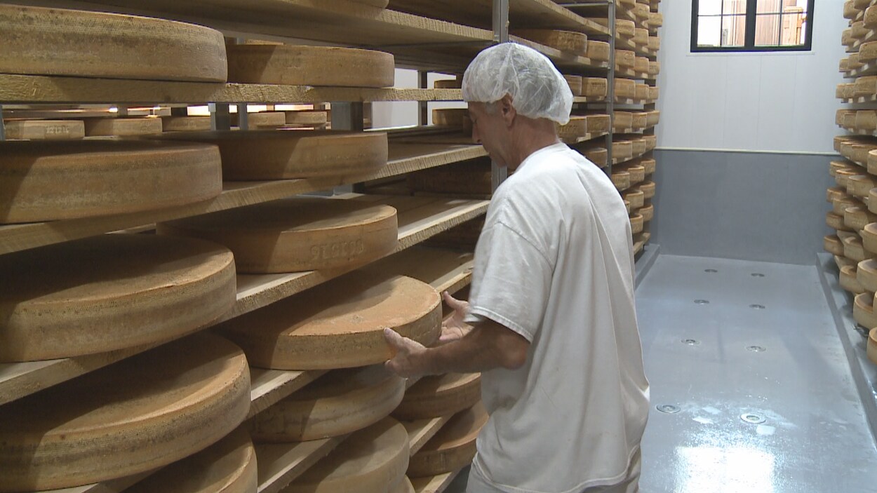 Un fromager tourne d'énormes meules de fromage.