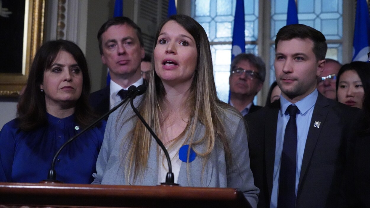 Me Mylène Lemieux au micro.