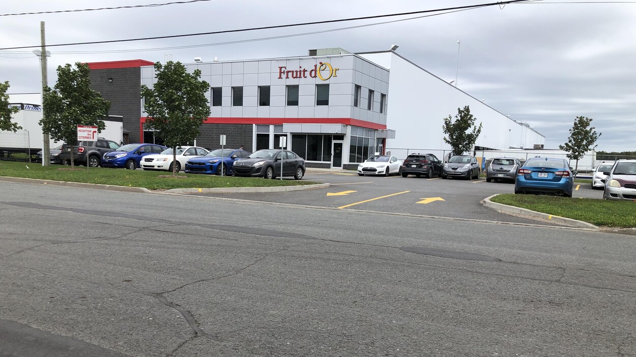 Fruit d’Or investit 17 M pour son usine à Plessisville RadioCanada.ca