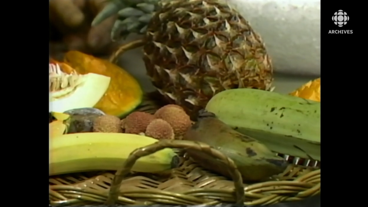 L'ananas : tout savoir sur ce fruit exotique si populaire