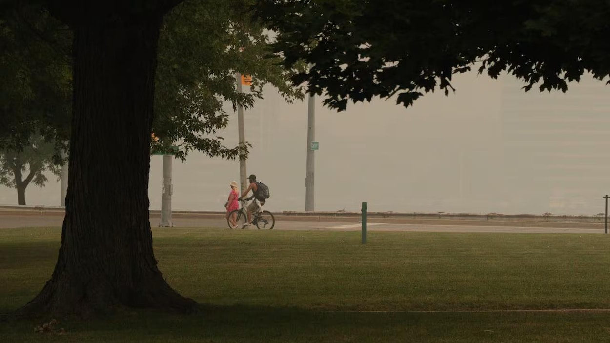 La fumée des feux de forêt dégrade la qualité de l’air dans le sud-ouest
